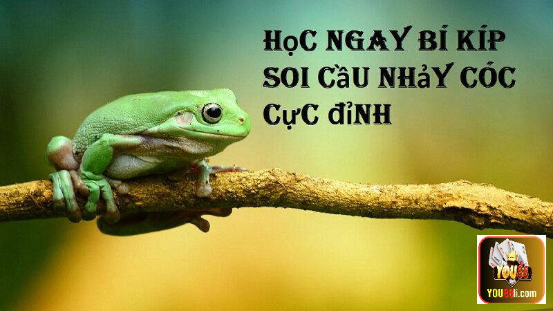 Cách Bắt Cầu Và Soi Cầu Nhảy Cóc Hiệu Quả Tại Yo88 2023