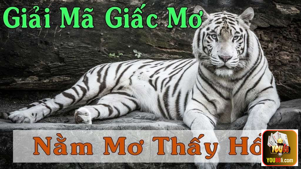Giải mã giấc mơ thấy hổ