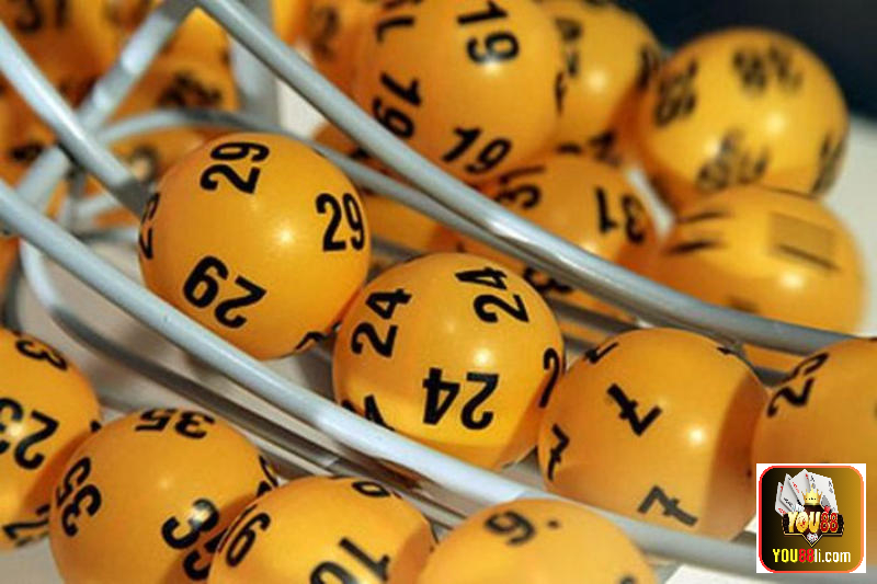 Học hỏi kinh nghiệm từ cao thủ để bắt được con lô đẹp nhất