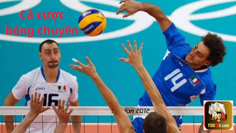 Tổng Hợp Thông Tin Về Cá Cược Bóng Chuyền Chuẩn Nhất 2023