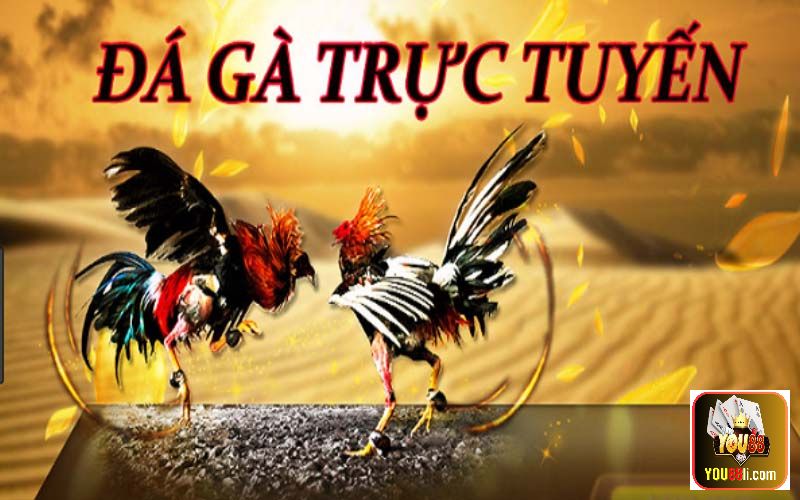 Giới thiệu về bộ môn cá cược đá gà trực tuyến hot nhất 2023